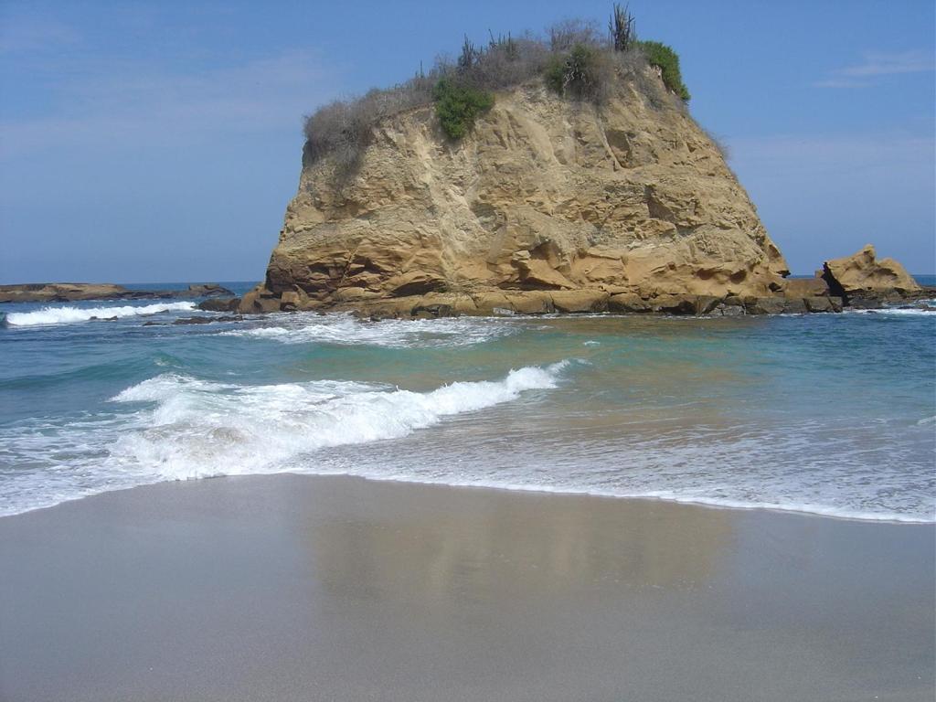 Hostal Humpback Internacional Puerto Lopez Exterior photo